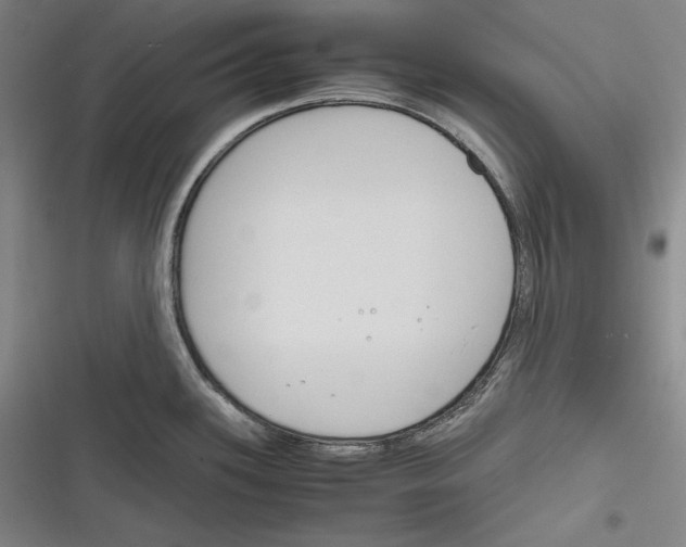 X0000116261339201001110945