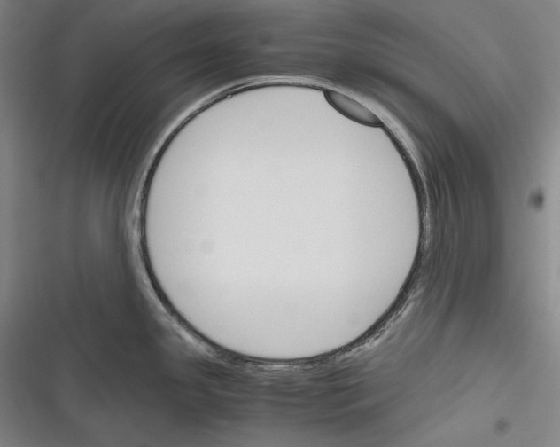 X0000116261341201001110945