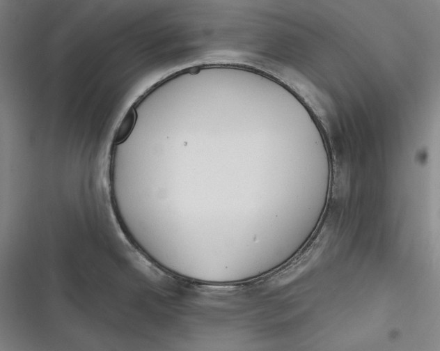 X0000116261342201001110945