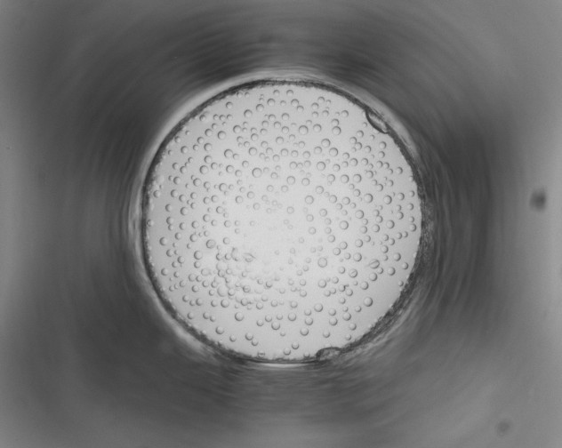 X0000116261343201001110945