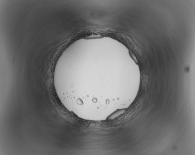 X0000116261345201001110945