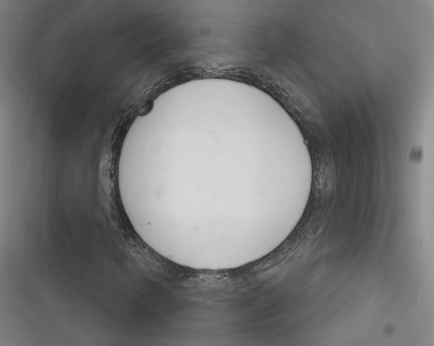 X0000116261346201001110945