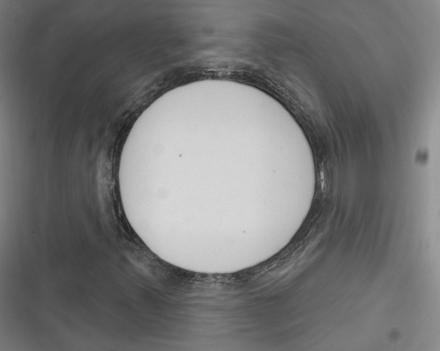 X0000116261347201001110945