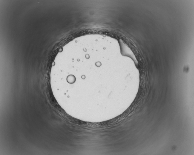 X0000116261349201001110945
