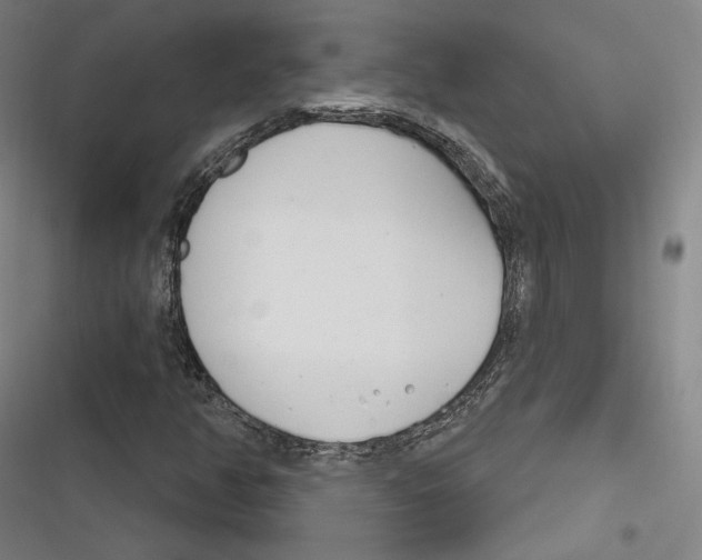 X0000116261350201001110945