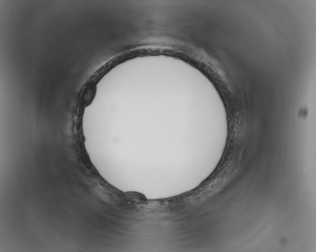 X0000116261352201001110945
