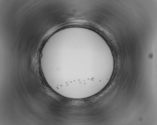 X0000116261354201001110945
