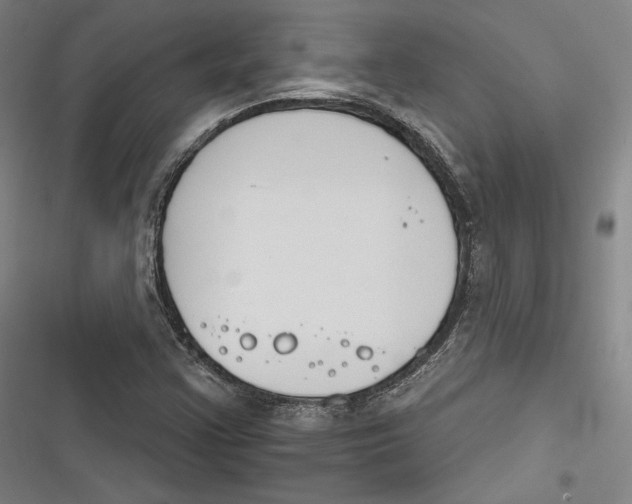 X0000116261355201001110945