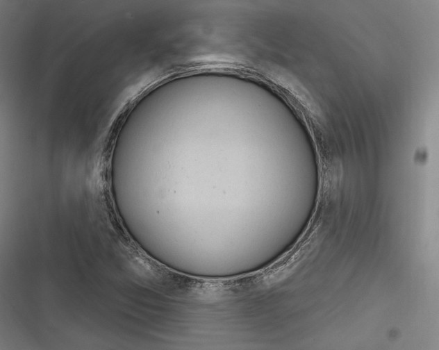 X0000116261357201001110945