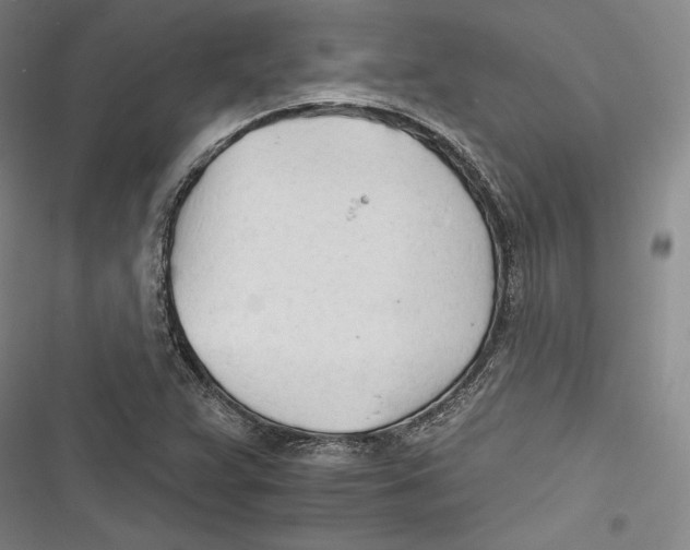 X0000116261359201001110945