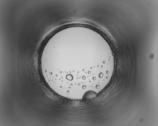 X0000116261360201001110945