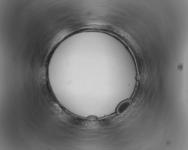 X0000116261362201001110945