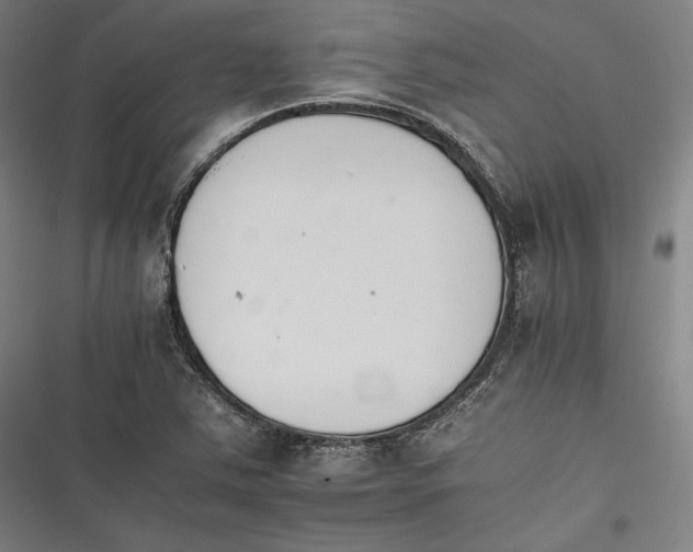 X0000116261363201001110945
