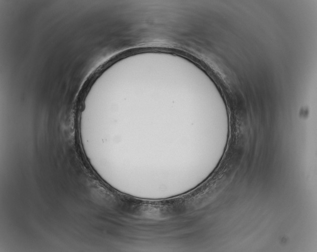 X0000116261364201001110945