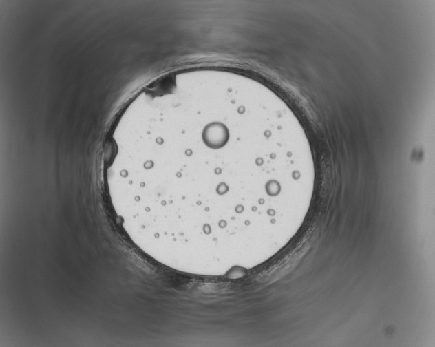X0000116261365201001110945