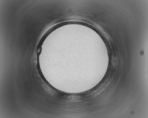 X0000116261368201001110944