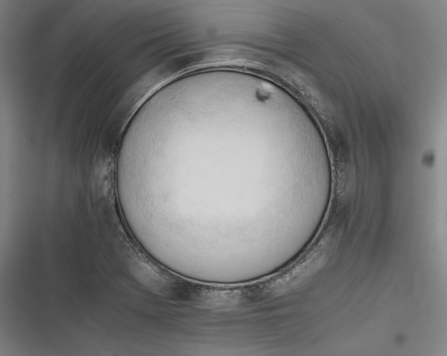X0000116261369201001110944