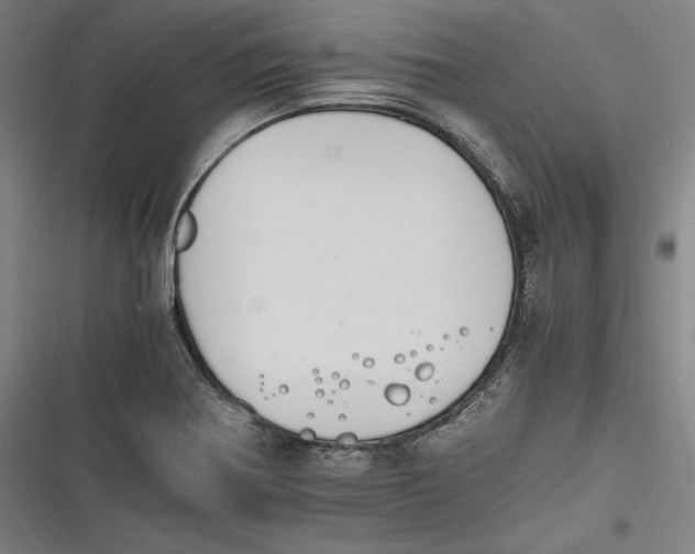 X0000116261370201001110944
