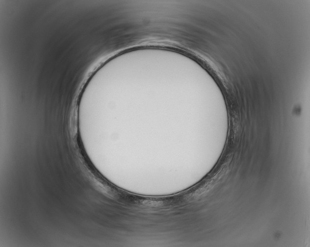 X0000116261371201001110944