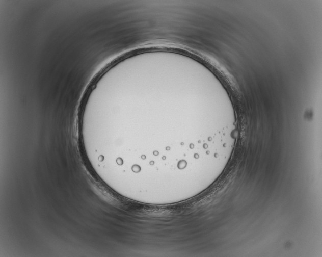 X0000116261372201001110944
