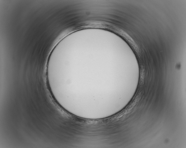 X0000116261378201001110944