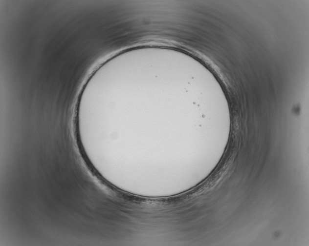 X0000116261379201001110944