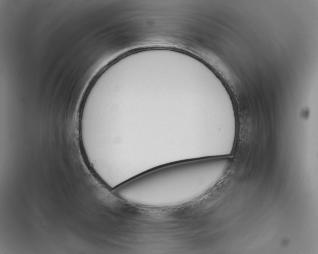 X0000116261380201001110944