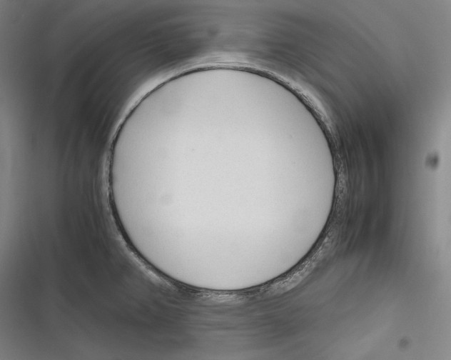 X0000116261382201001110944