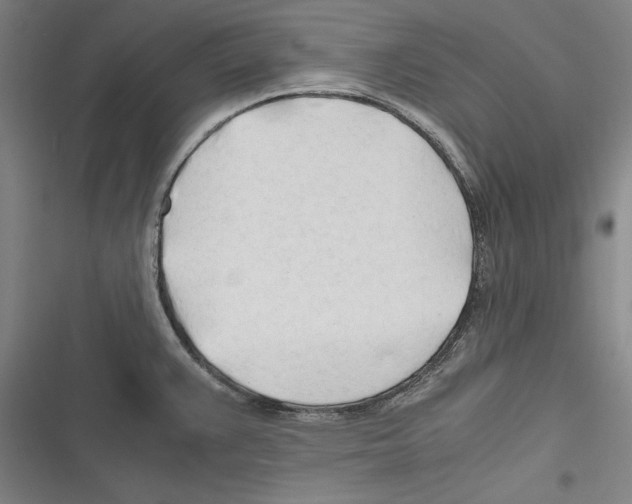 X0000116261383201001110944