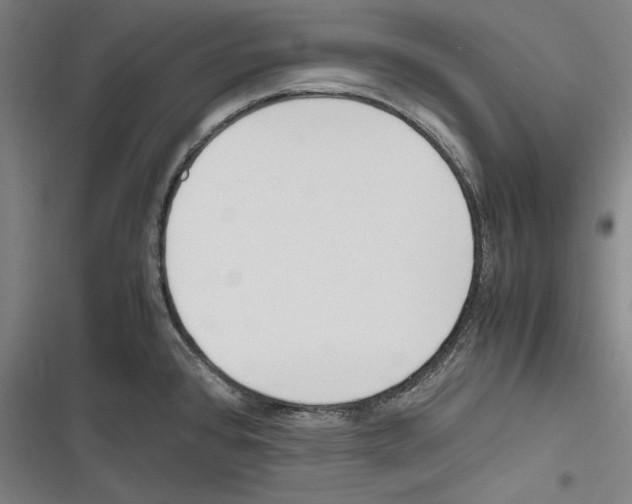 X0000116261384201001110944