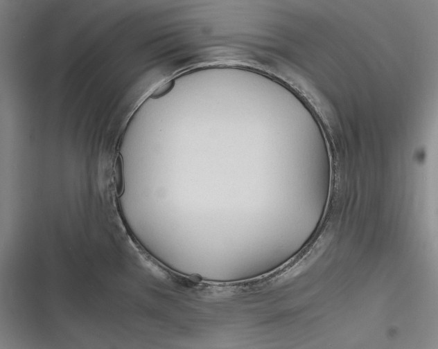 X0000116261385201001110944