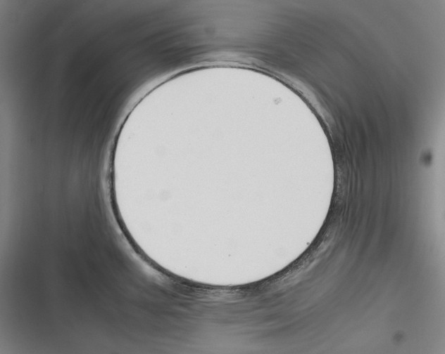 X0000116261387201001110944