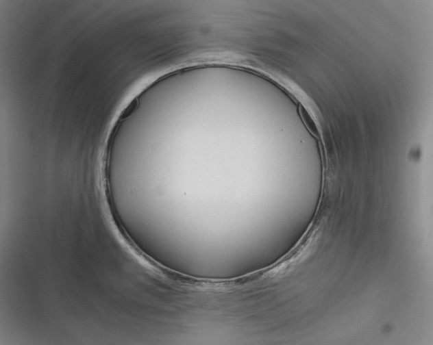 X0000116261389201001110944