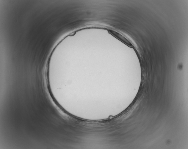 X0000116261391201001110944