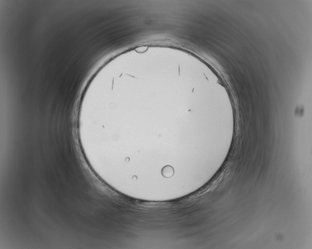 X0000116261392201001110944