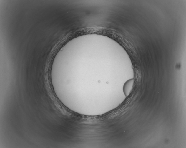 X0000116261393201001110944