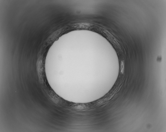 X0000116261395201001110944