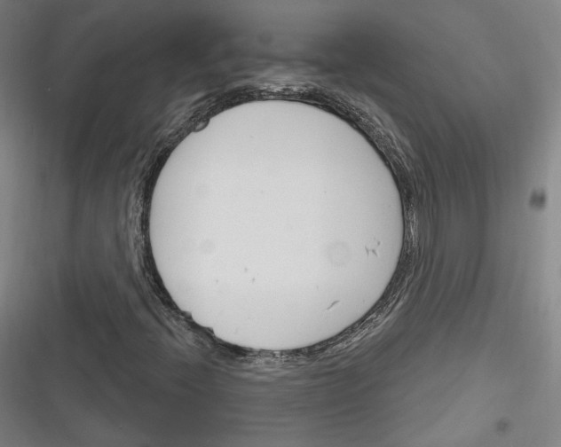 X0000116261396201001110944