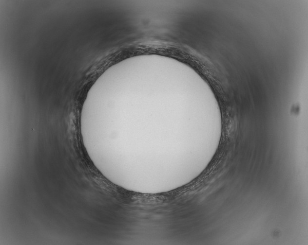 X0000116261397201001110944