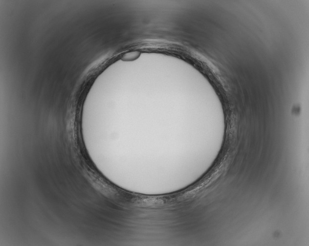 X0000116261403201001110944