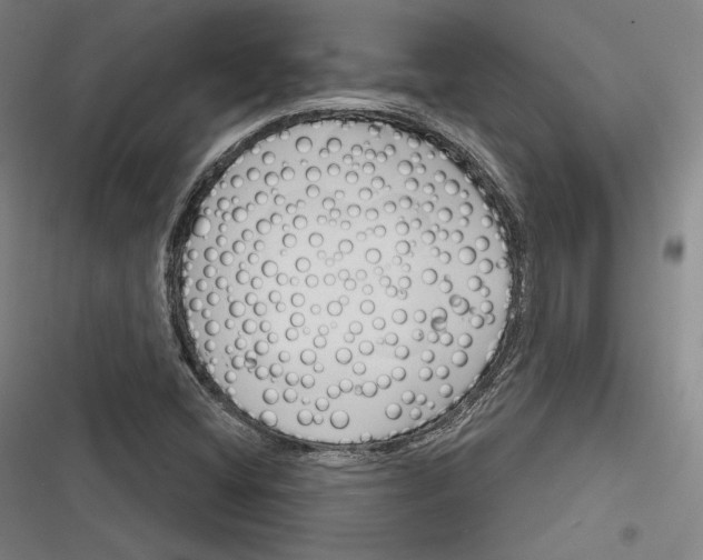 X0000116261404201001110944