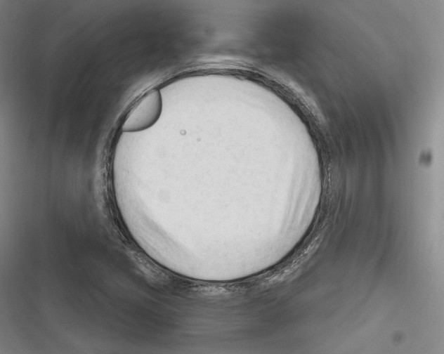 X0000116261405201001110944