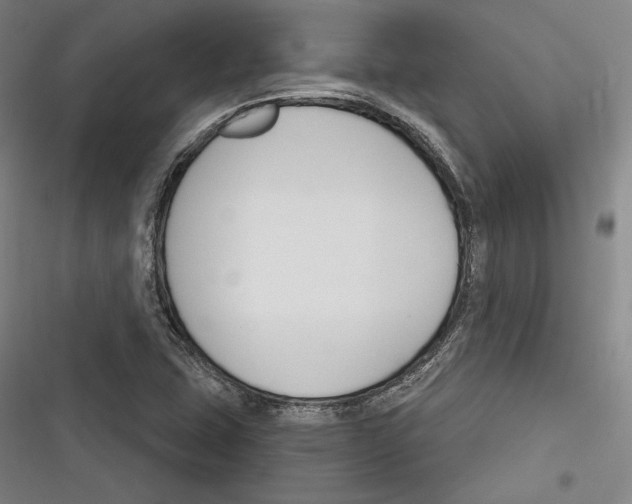 X0000116261407201001110944