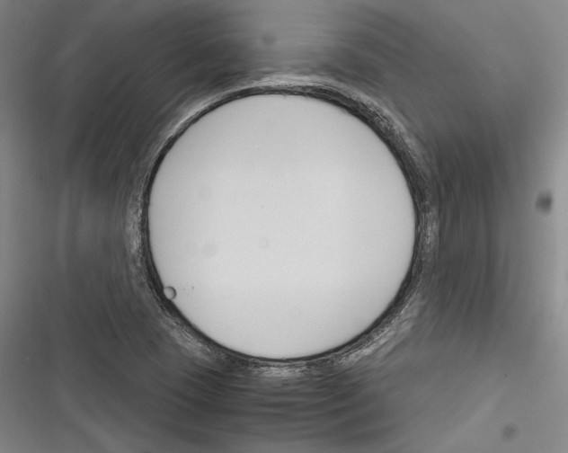X0000116261409201001110944