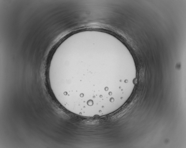 X0000116261410201001110944