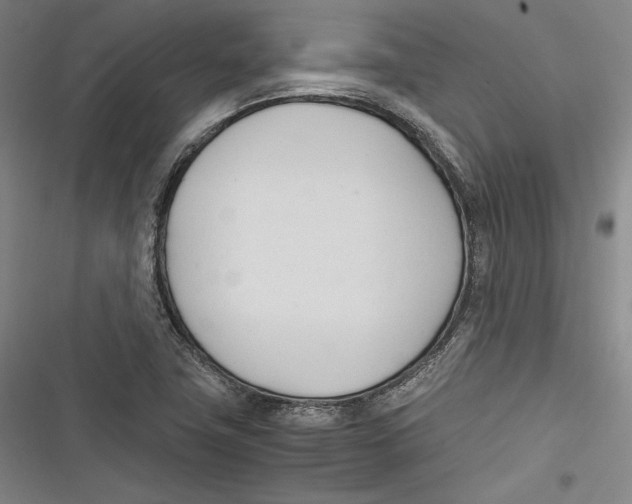 X0000116261411201001110944