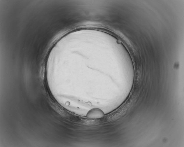 X0000116261413201001110944