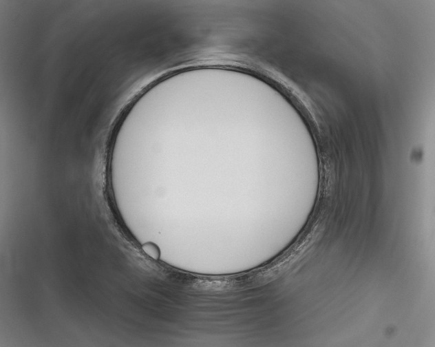 X0000116261415201001110944