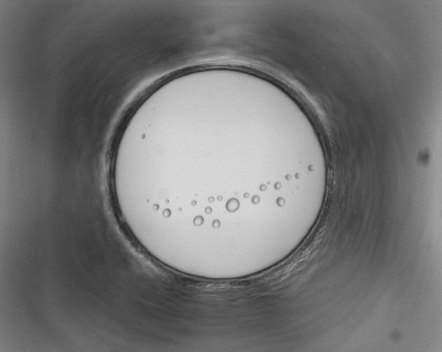X0000116261416201001110944