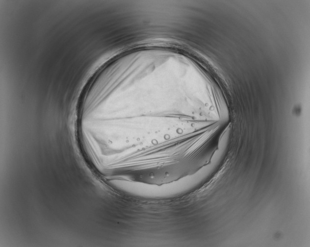 X0000116261418201001110944
